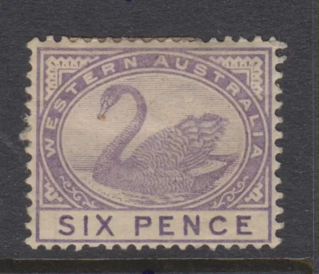 1885-1893 - WESTERN AUSTRALIA - MINT 6d. BRIGHT VIOLET SWAN - P14 - SG 100- W744