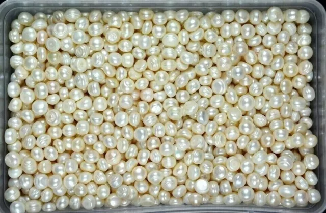 White Pearl Australian 200 Ct 8 mm Loose Gemstone Lot Natural Round Cut