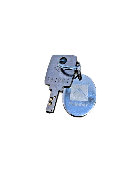 Palomar StarLux 300 500 Laser KEY Main On Off Switch good used spare key