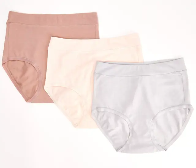 BREEZIES WOMEN'S SET of 3 Modern Cotton Full Brief Panties Mink 1X