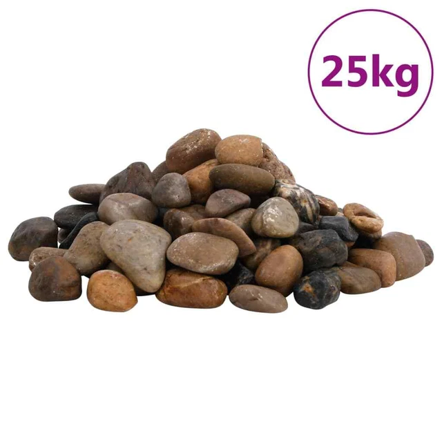 Galets polis 10 kg multicolores 2-5 cm vidaXL