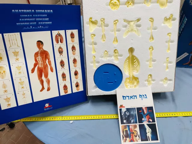 Anatomía Humana Serima Kit Cuerpo Humano a Estrenar 2