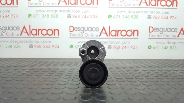 381759 Tendeur De Courroie Auxiliaire Pour Renault Megane Iii Berlina 5 P | 1175