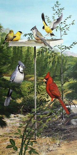 Ray Harm Summer Feeder - Cardinal- Blue Jay- Gold Finches Ray Harm Summer Feeder - Cardinal- Blue Jay- Gold Finches
