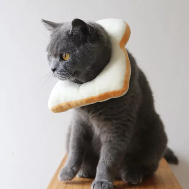 Foto de mascota utilería Collares para gatito Cuello para gato Ropa para gatos Prendas para la cabeza para mascotas