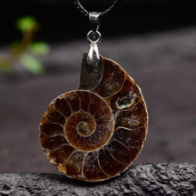 Natural Conch Fossil Shell Pendant Quartz Crystal Stone Necklace Reiki Healing