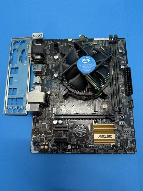 Carte Mère ASUS H110M-A/M.2 Micro-ATX - Socket LGA 1151 Pour Intel - Occasion