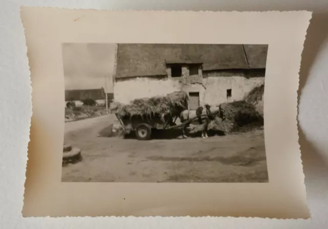 Photo originale ancienne - Guérande - Brière  1949 Vintage snapshot