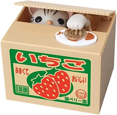 Naughty BANK American Shorthair