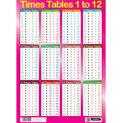 Educational Mini Poster Times Table Grid 32 x 44cm 