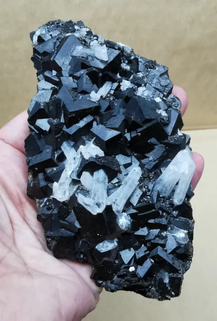 228g Natural  ANDRADITE GARNET  Quartz Crystal / Inner Mongolia, China