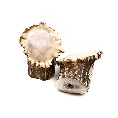 Large Polished Deer Antler Burr Cabinet Pull - Rustic Decor Country Home