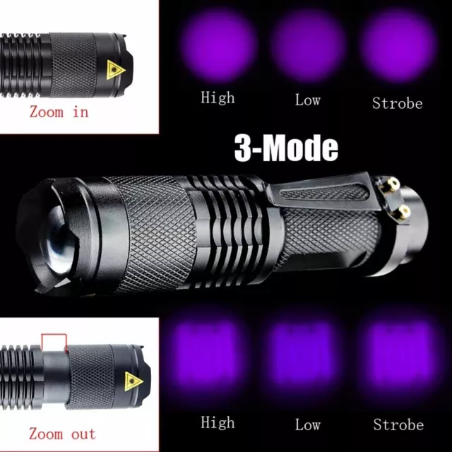 Portable Mini UV Ultra LED Zoom Flashlight Violet Purple Blacklight Torch Lamp S