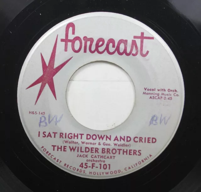 Rock 45 The Wilder Brothers - I Sat Derecho Abajo Y Cried / Raza Track Blues On