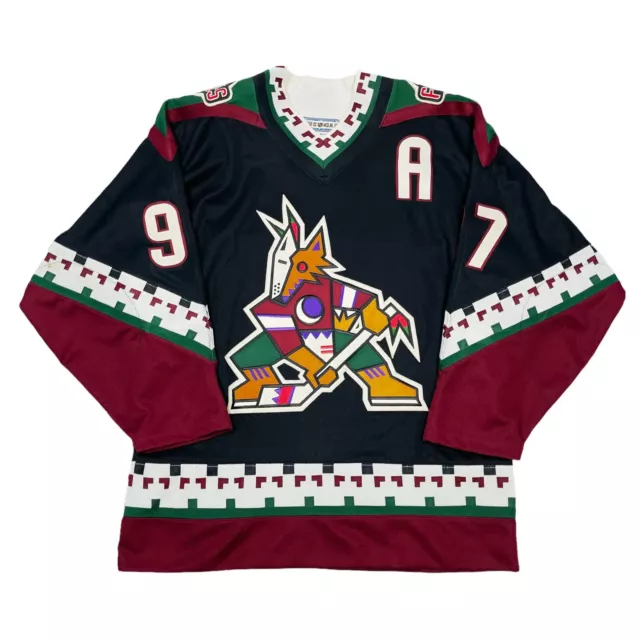 Vintage Chicago Blackhawks Jeremy Roenick Starter Hockey Jersey, Size –  Stuck In The 90s Sports