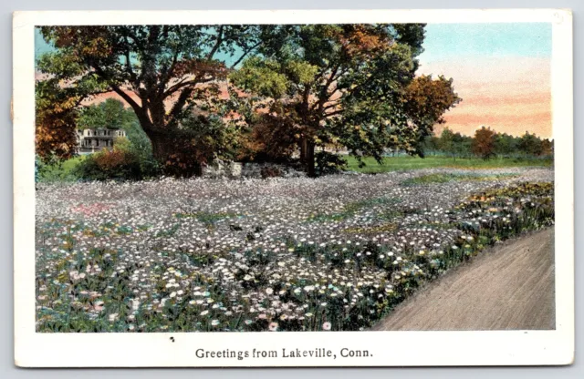 1931 Greetings From Lakeville Connecticut CT Flower Garden Posted Postcard