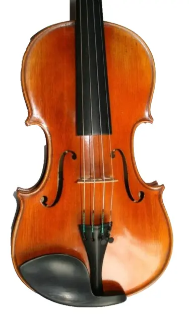 Alte Geige Violine 4 4 von Mario Gaspari Livorno 1976 mit Zettel