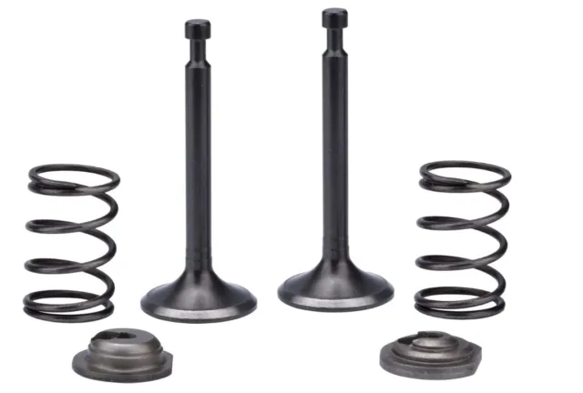 Intake Exhaust Valve Spring Set For Xtreme Power 62029 7.0HP Gas Engine