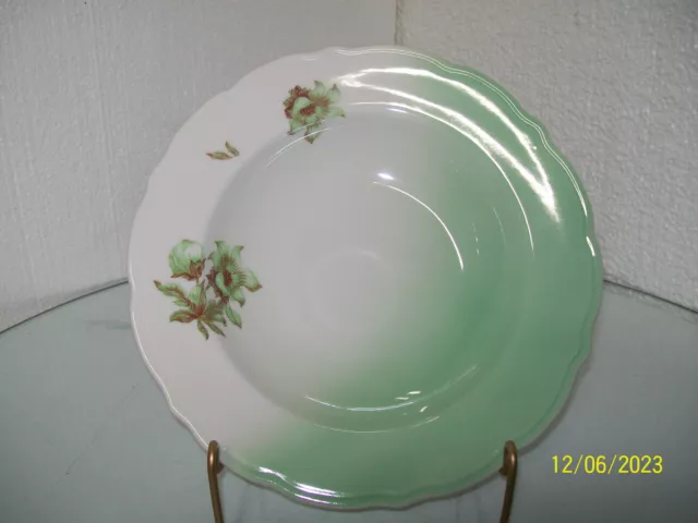 Union Pacific RR Soup Bowl Desert Flower