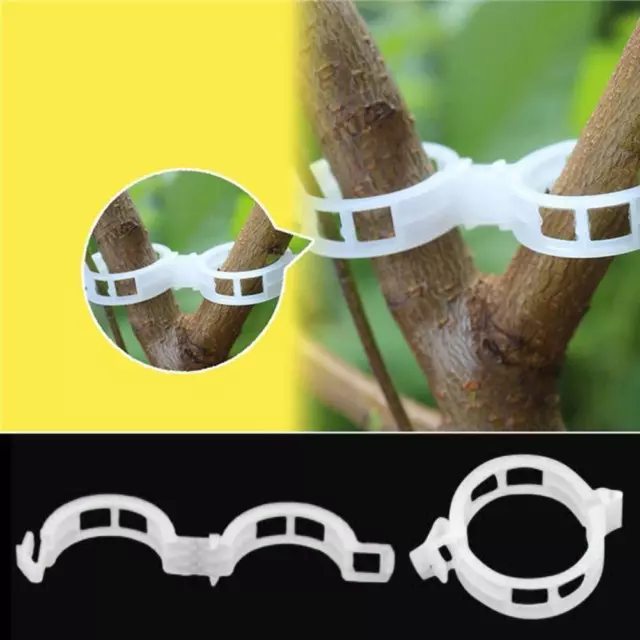 1-100Pcs Plastic White Color Plant Fixing Clips Growth Grafting Clips HangerBEST