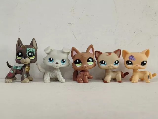 5pcs/lot LPS Toys Littlest Pet Shop  Cat Dog #1493#363#2440#1024#1962 Figures