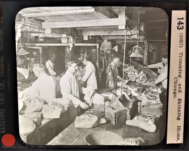 12-143 Magic Lantern Glass Slide Photo Trimming Skinning Hams Chicago Illinois