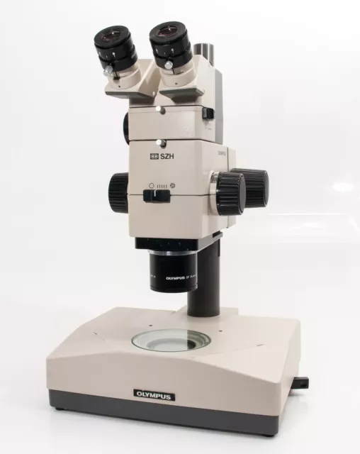 Olympus Szh Microscope Stéréo Avec Durchlichtstativ Et Fototubus