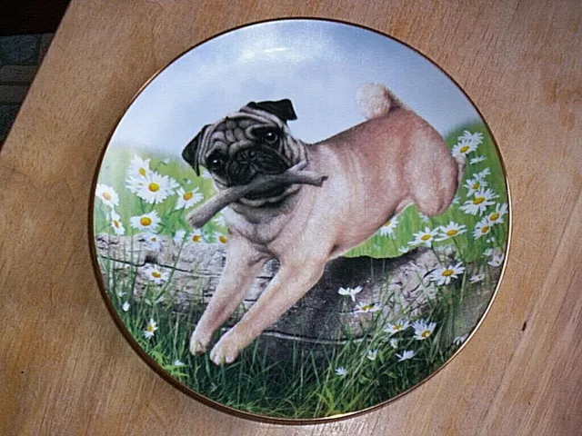 Retired Danbury Mint  Pug Limit Edition  Plate PUG IN PLAY  by Simon Mendez