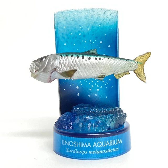 KAIYODO AQUATALES ENOSHIMA Aquarium Bottle Cap Figure Japanese Sardine