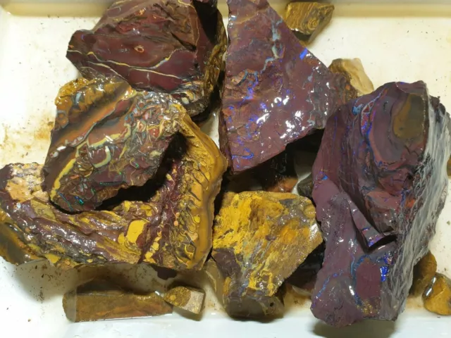 Queensland Boulder Opal 1080 grams Australian Rough Opal UK Cutters Collector