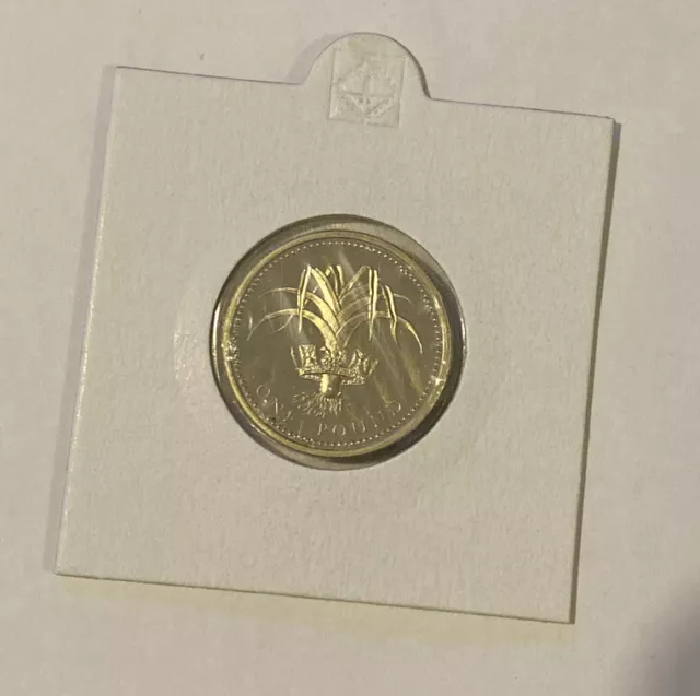⭐️ 1990 Elizabeth II - PROOF 1 Pound Coin Welsh Leek One Pound Coin ⭐️