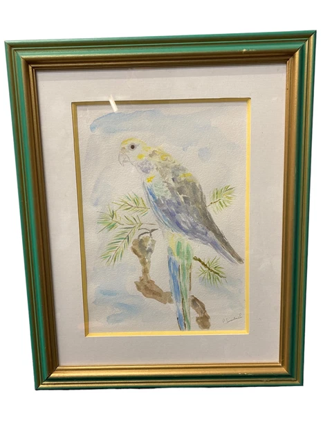 Ancien Tableau Dessin Estampe Oiseau Perruche Perroquet Signe