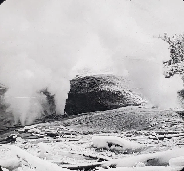 Roadside Growler, Yellowstone National Park, c1910's Magic Lantern Glass Slide