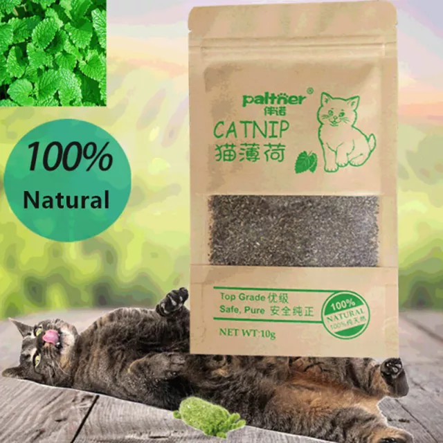 Mentolo biologico erba gatta premium naturale 10 g sapore 100% snack erba gatta gatto animale domestico: RF