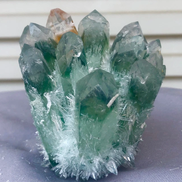 1.13LB New Find Green Phantom Quartz Crystal Cluster Mineral Specimen Healing 8