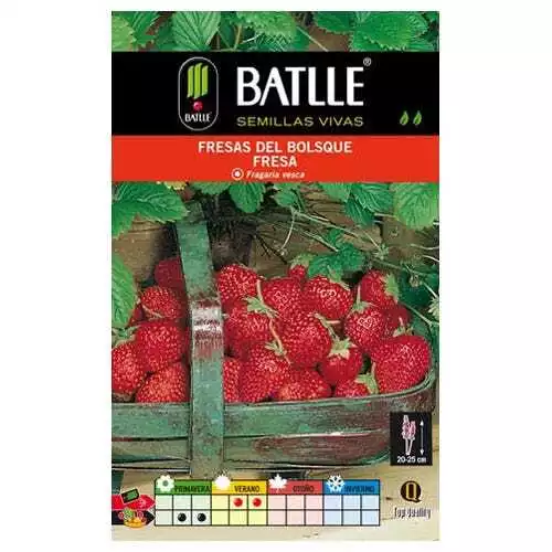 Semillas aromáticas de Battle - Fresas del Bosque (0,4g)