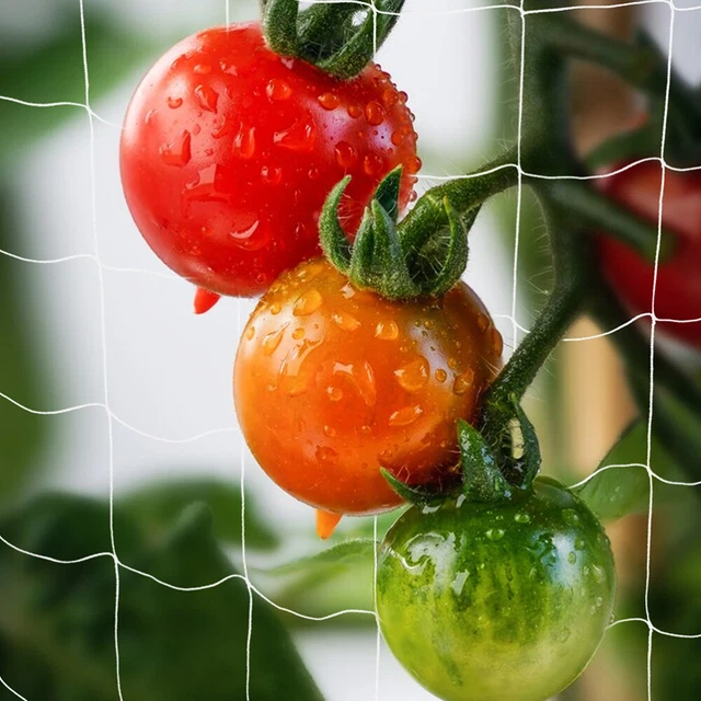 Tcamp Rete A Traliccio Da Giardino Per Piante Rampicanti | 1,5m X 4,5m, Maglia 8,9cm, 2 Pezzi In Poliestere - 2