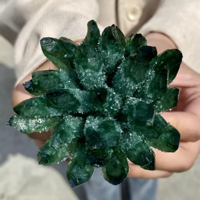 264G New Find Green Phantom Quartz Crystal Cluster Mineral Specimen Healing