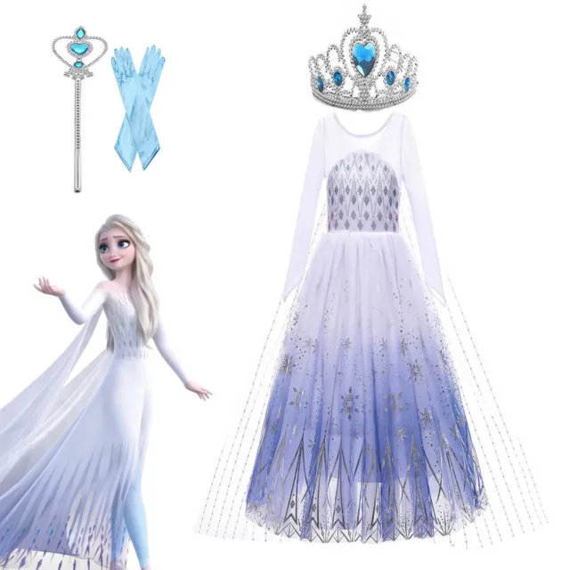 Frozen 2 inspired Snow Toddler Princess Costume Trailing Elsa Dress for Girls