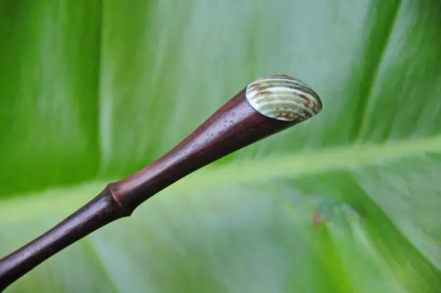 Handmade 'bamboo' carved wooden HAIR STICK SHAWL PIN SHELL tip Sono wood new