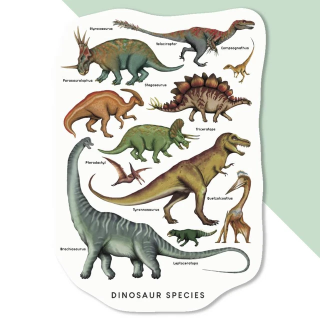 'Dinosaur Species' Decal Stickers (DW039018)