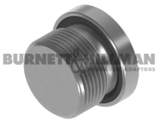 Burnett & Hillman BSP Socket Headed Plug WITH 3869 SEAL Hydraulic Fitting