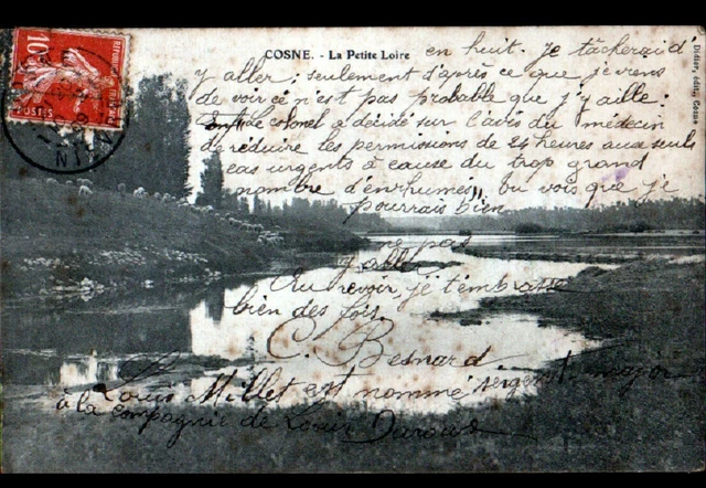 COSNE (58) SHEEP in GRAZING on the edges of the LOIRE in 1909