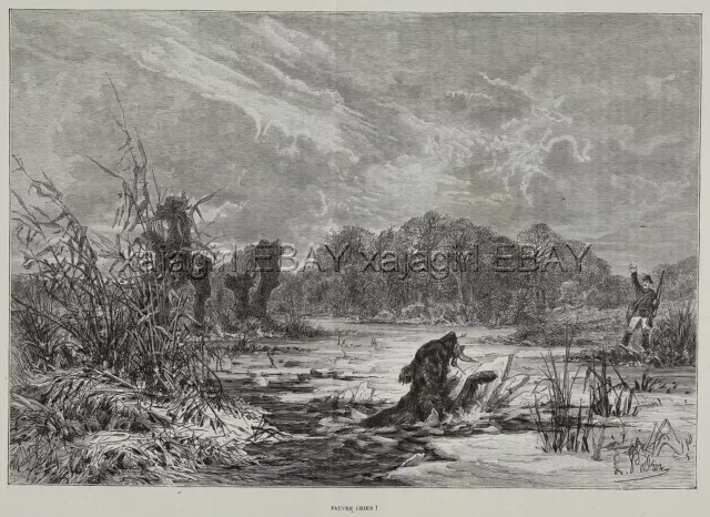Dog Flat-Coated Retriever Falls In Ice Hunting Snipe, Large 1880s Antique Print