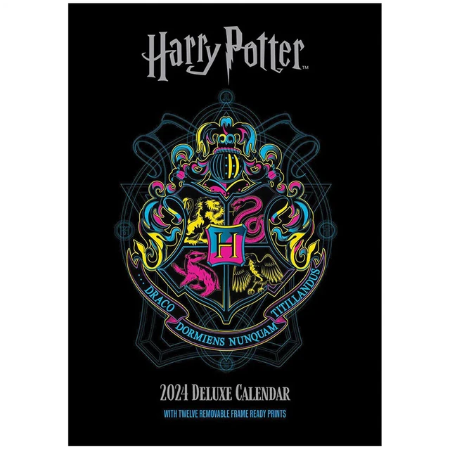 HARRY POTTER DELUXE Calendar 2024 22.13 PicClick