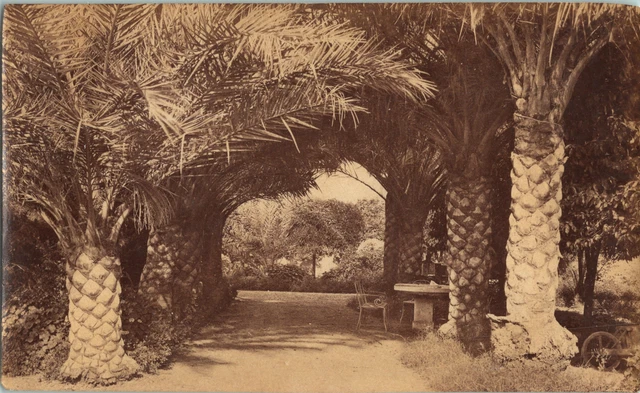 STA486 Cannes une tartane voilier bateau STEREO stereoview Photo