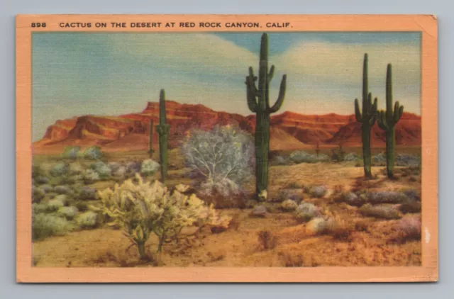 Cactus Desert at Red Rock Canyon California Postcard