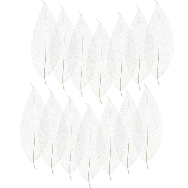100 Pcs Künstliche Blätter Hochzeitsdeko Lesezeichen Magnolie