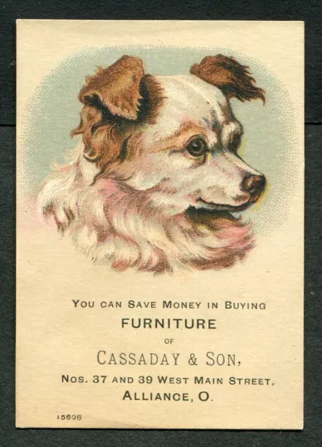 ALLIANCE, OH ~ Cassaday & Son, Furniture ~ DOG ADVERTISING TRADE CARD 1880s