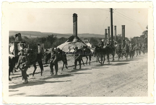 Orig. Foto Gebirgsjäger GJR.100 mit Esel Tragtier in zerstörtes Polen 1939